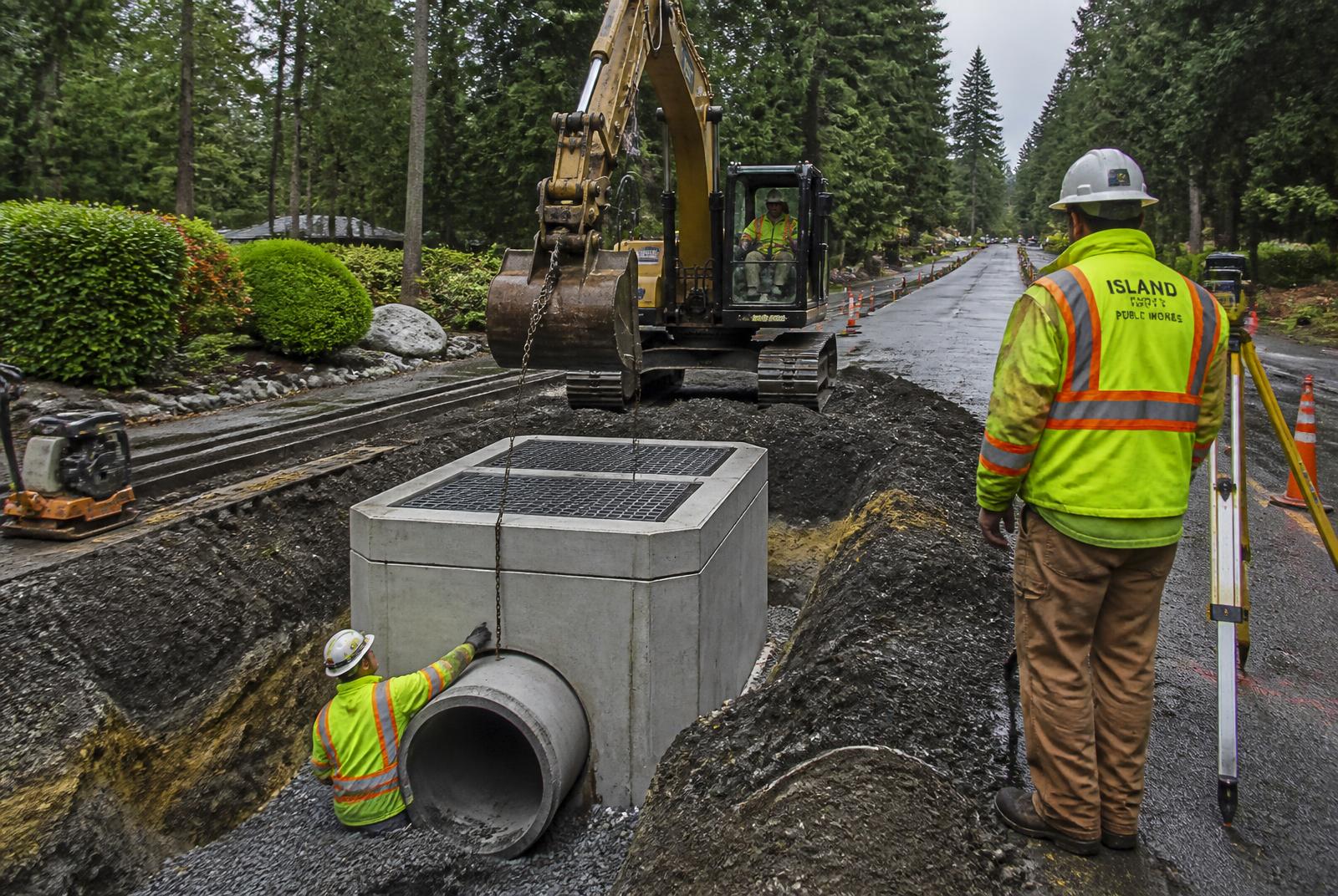 Drainage & Habitat Restoration in Mercer Island, WA